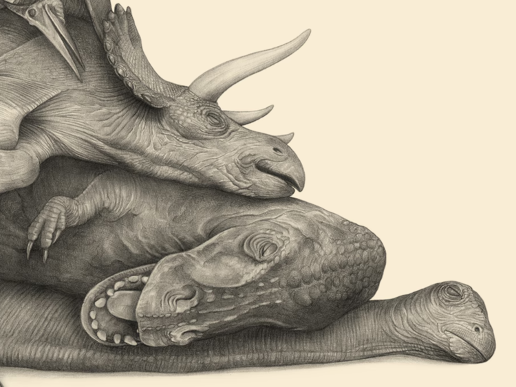 Mass Dinosaur Extinction