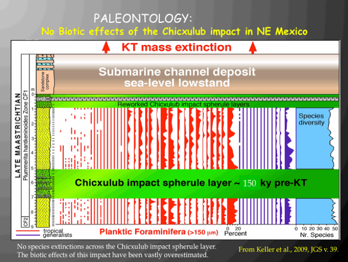 Chart showing no species extinctions across the Chicxulub impact spherule layer.