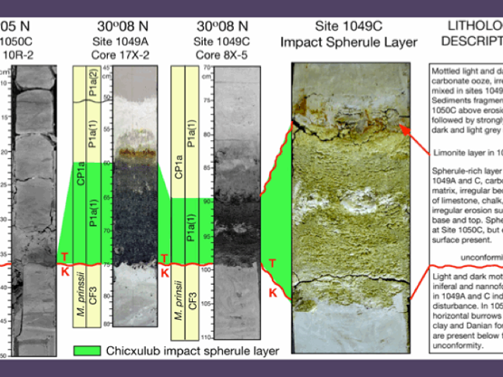U. Maastrichtian and Lower Damian era chart identifying the grayish spherule layers
