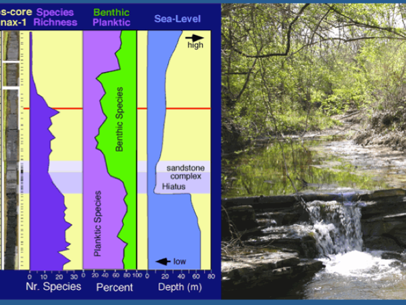 llustration of sea level fall and rise