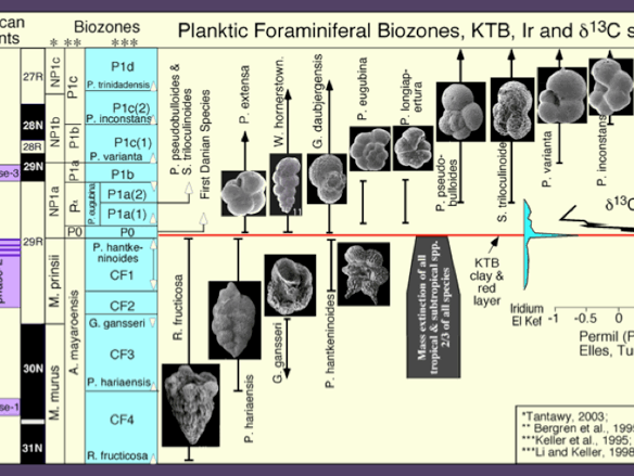 Biostratigraphy and planktic foraminiferal zonal scheme