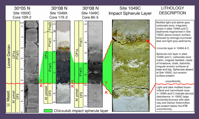 U. Maastrichtian and Lower Damian era chart identifying the grayish spherule layers