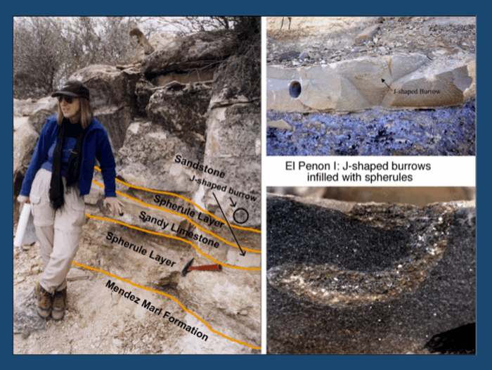 Dr. Gerta Keller standing next to El Penon outcrop showing lower and upper impact spherule layer and their appearances.