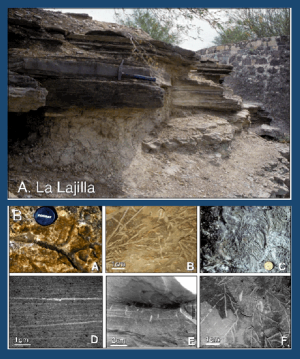 Showing the different layers of sandstone complexities