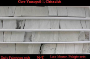 A set of four core drillings showing what the sediment looks like