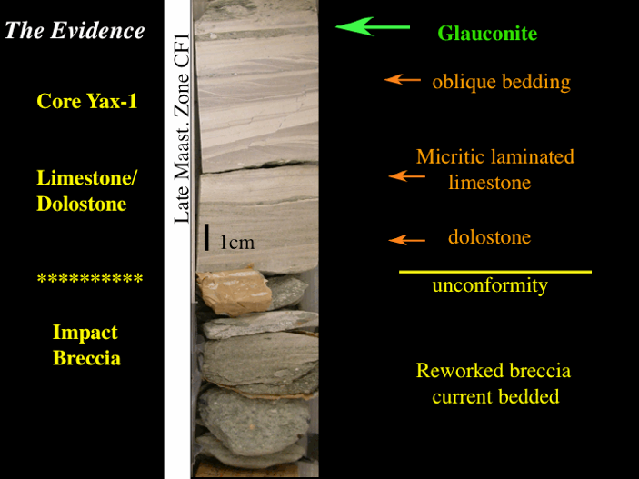 Core drilling that shows limestone/dolostone and impact breccia
