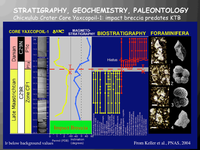 Planktic foraminifera along with graphs indicating where they were found