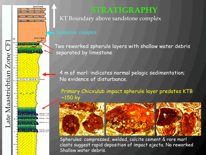 Charted column of the Late Maastrichtian on left with images on right to help identify spherules