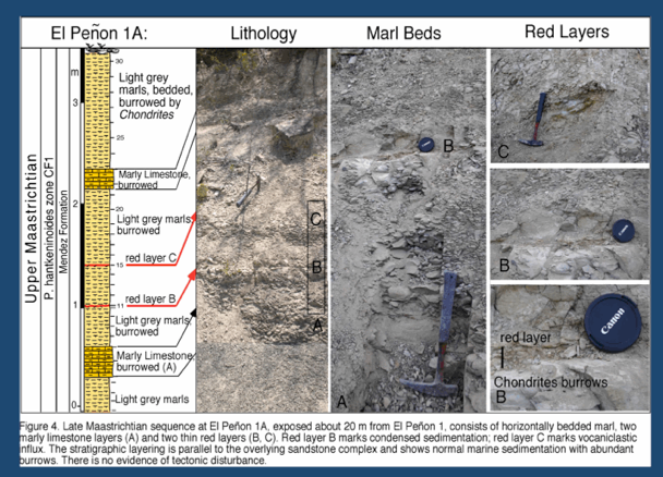 Charted column of Upper Maastrichtian on left with images on right of marly limestone exposed