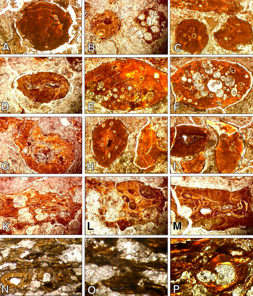 Micrographs of deep red and amber impact spherules
