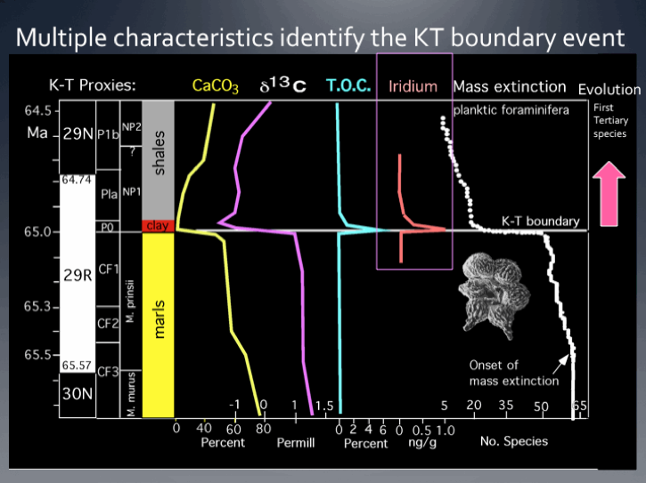 Dark chart with multiple characteristics identified
