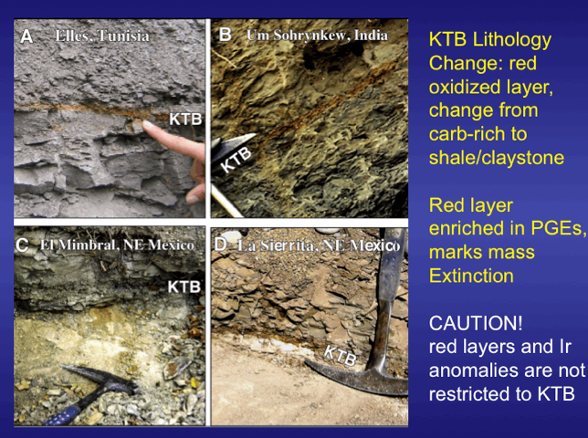 The different colorization in undisturbed sediment at Elles, Tunisia