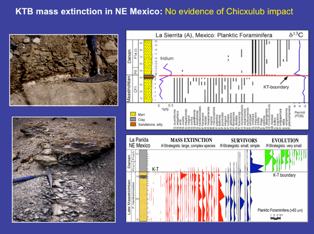 Two field images with corresponding charts showing no impact sherules