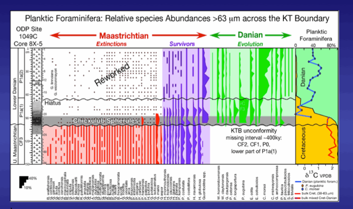 Charted Biostratigraphy of species ranges and species abundances and stable isotopes