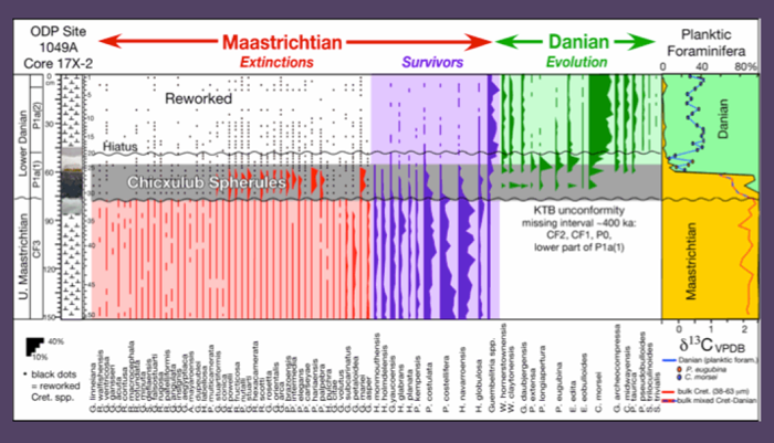 Charted Biostratigraphy, species ranges and species abundances and stable isotopes
