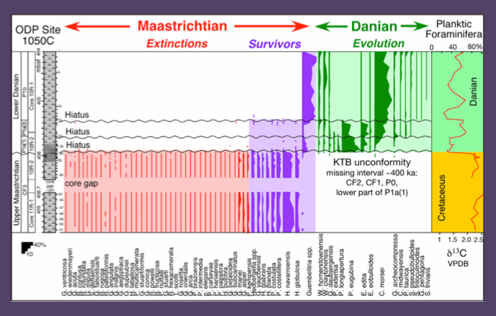 Charted Biostratigraphy, with species ranges and species abundances