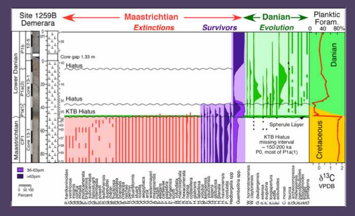Charted Biostratigraphy of species ranges and species abundances and stable isotopes