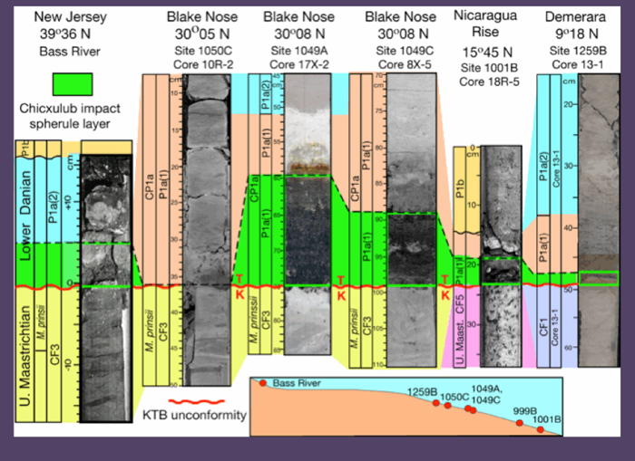 Charted areas of sediment analyzed
