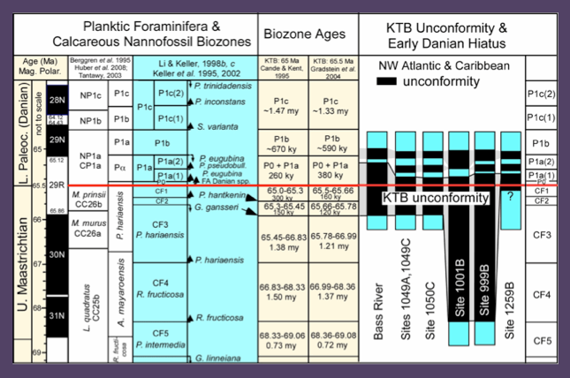 Diagram of biostratigraphy and the ages for biozones