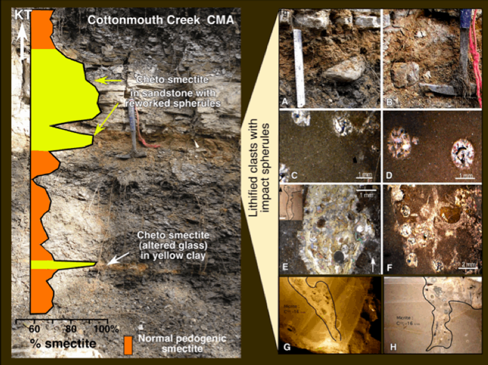 Cottonmouth Creek chart represent the appearance of lithified clast rocks with impact spherules