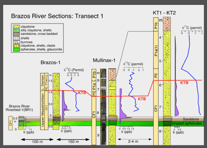 Defining criteria (extinction, evolution) sediment chart showing levels of Brazos, Mullinex-1 and KT-1 and KT-2TB