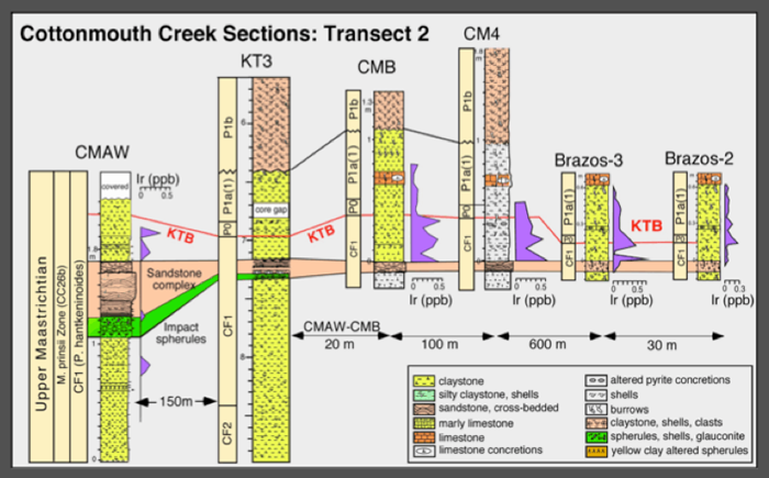 Sediment chart of Cottonmouth Creek sections showing decreasing thickness of the sandstone complexCottonmouth Creek waterfall.