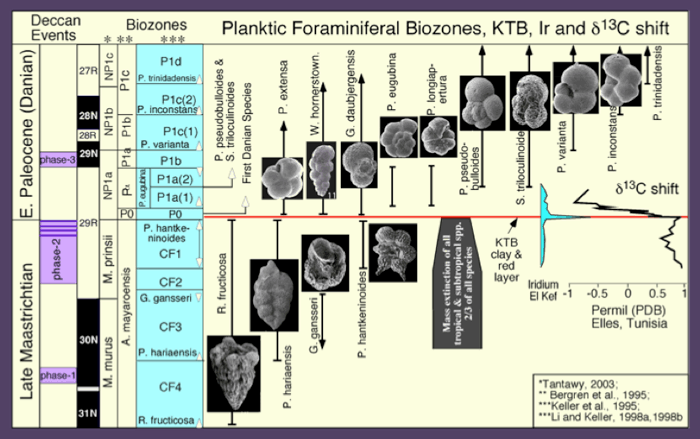 Biostratigraphy and planktic foraminiferal zonal scheme