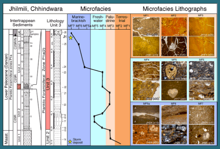 Breakdown of microfacies zone and their appearance